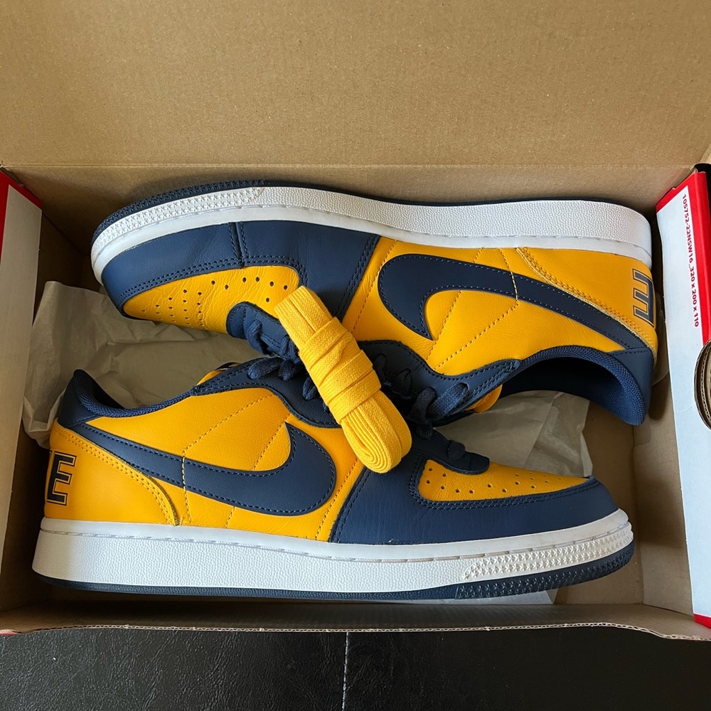 Nike Terminator Low ‘Michigan’ - Picture 7 of 8